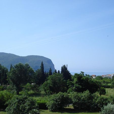 Apartments Viktorija Petrovac Ruang foto